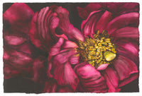Spring Unveiling
