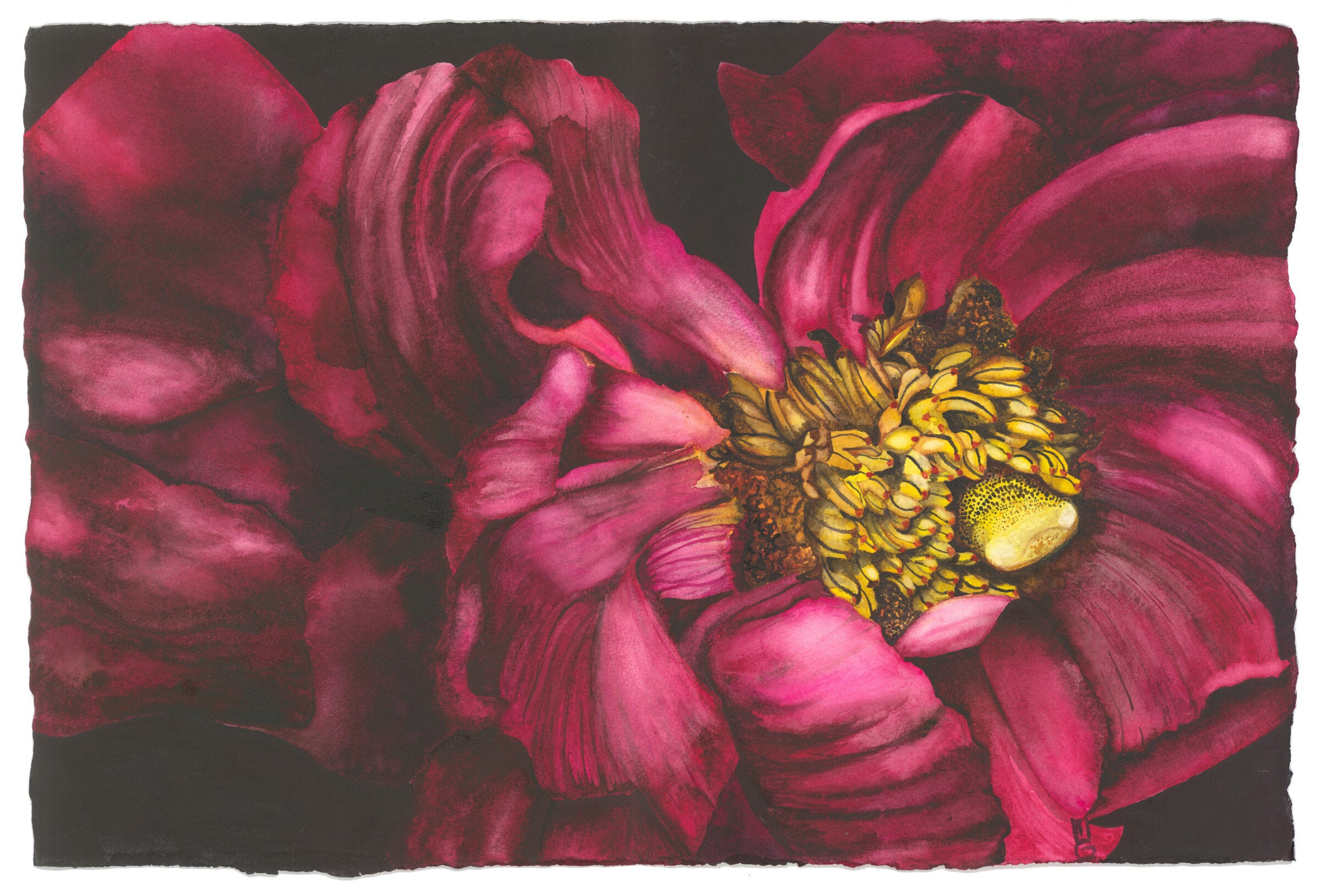 Spring Unveiling