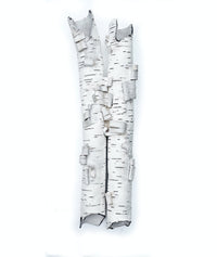 Birch Duo