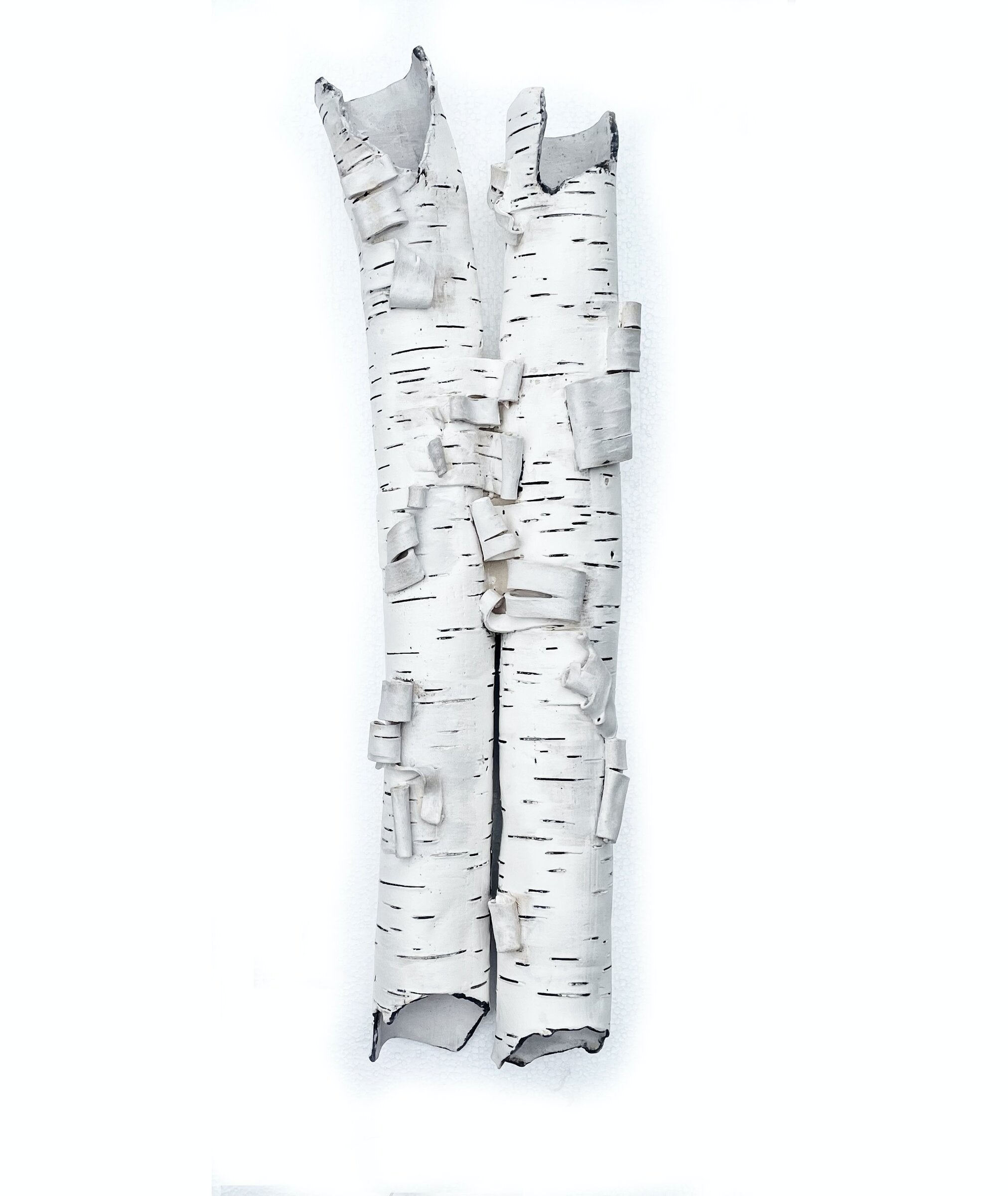 Birch Duo