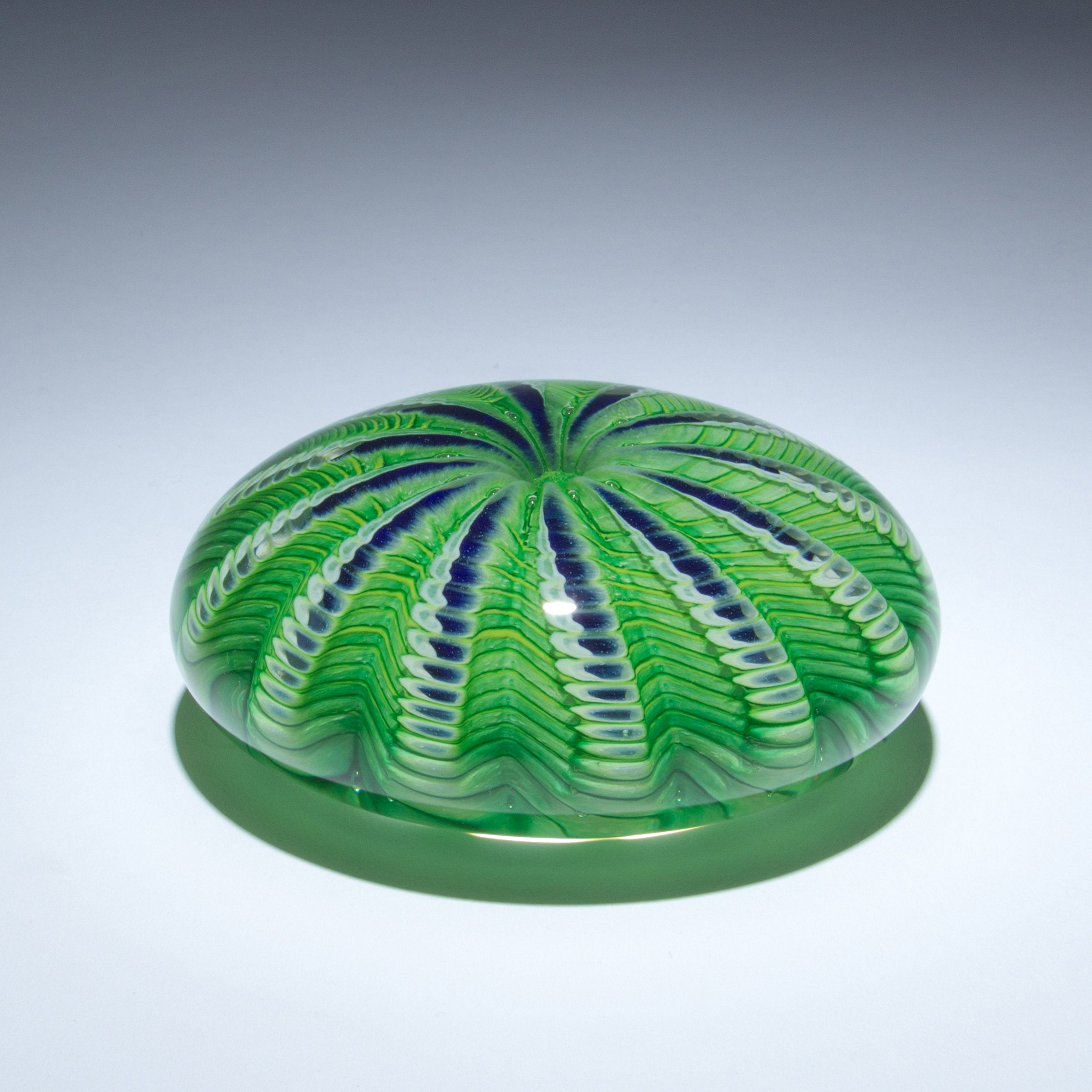 Sea Urchin
