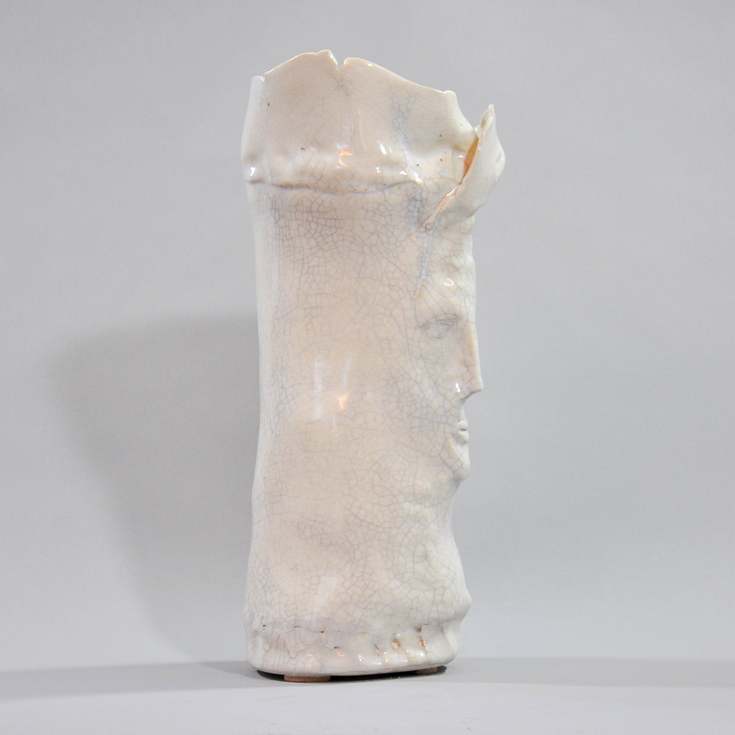 Face Vase IV