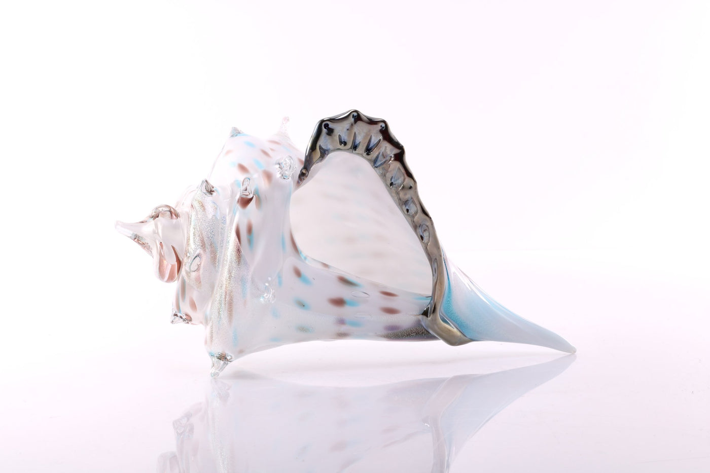 Atlantis Sea Shell