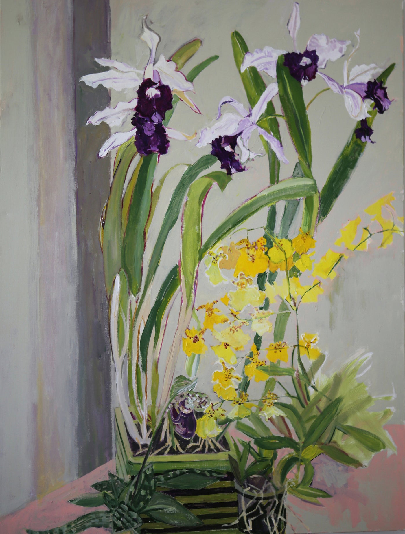 Norm's Orchids