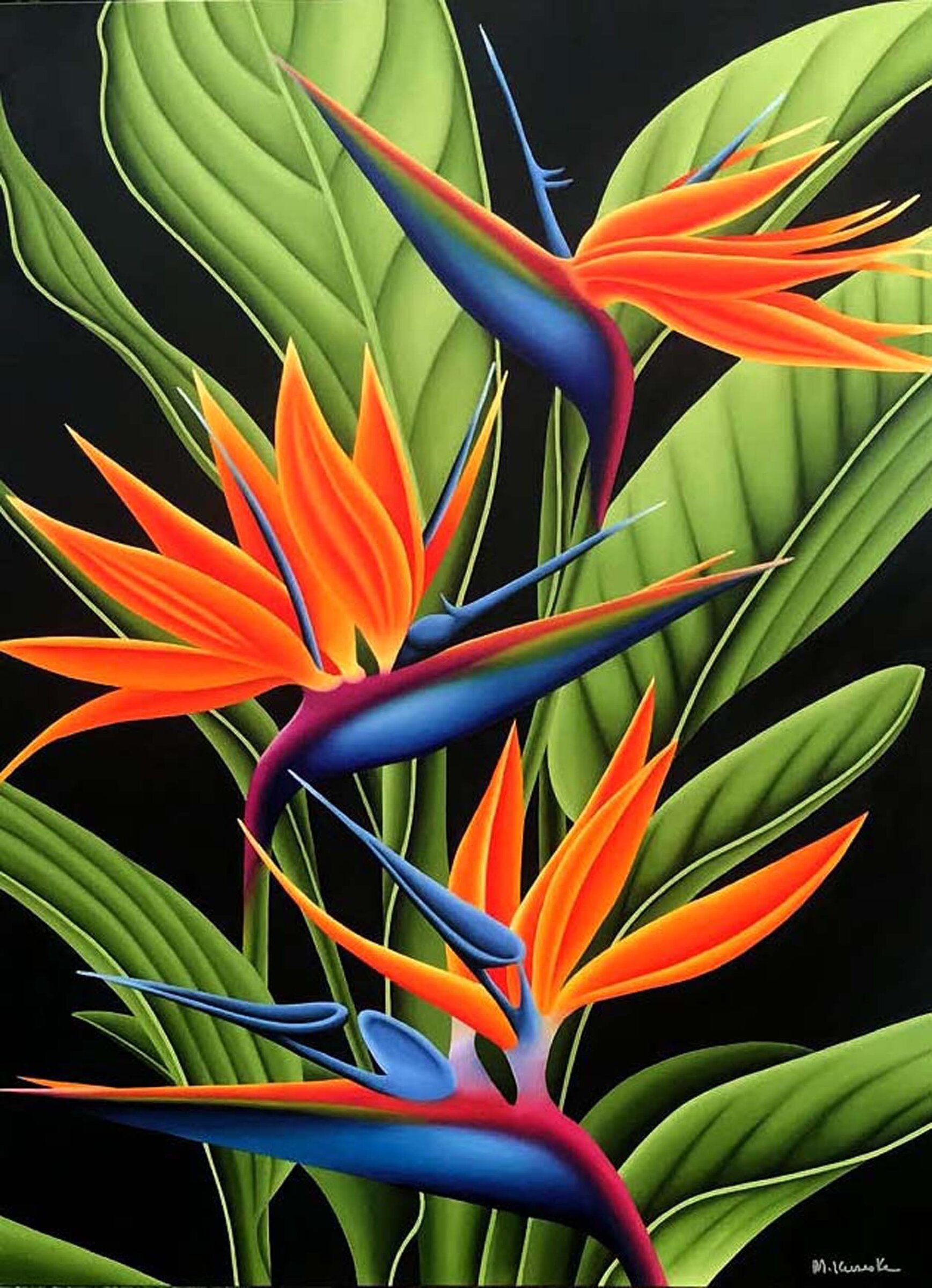 Tropical Dance
