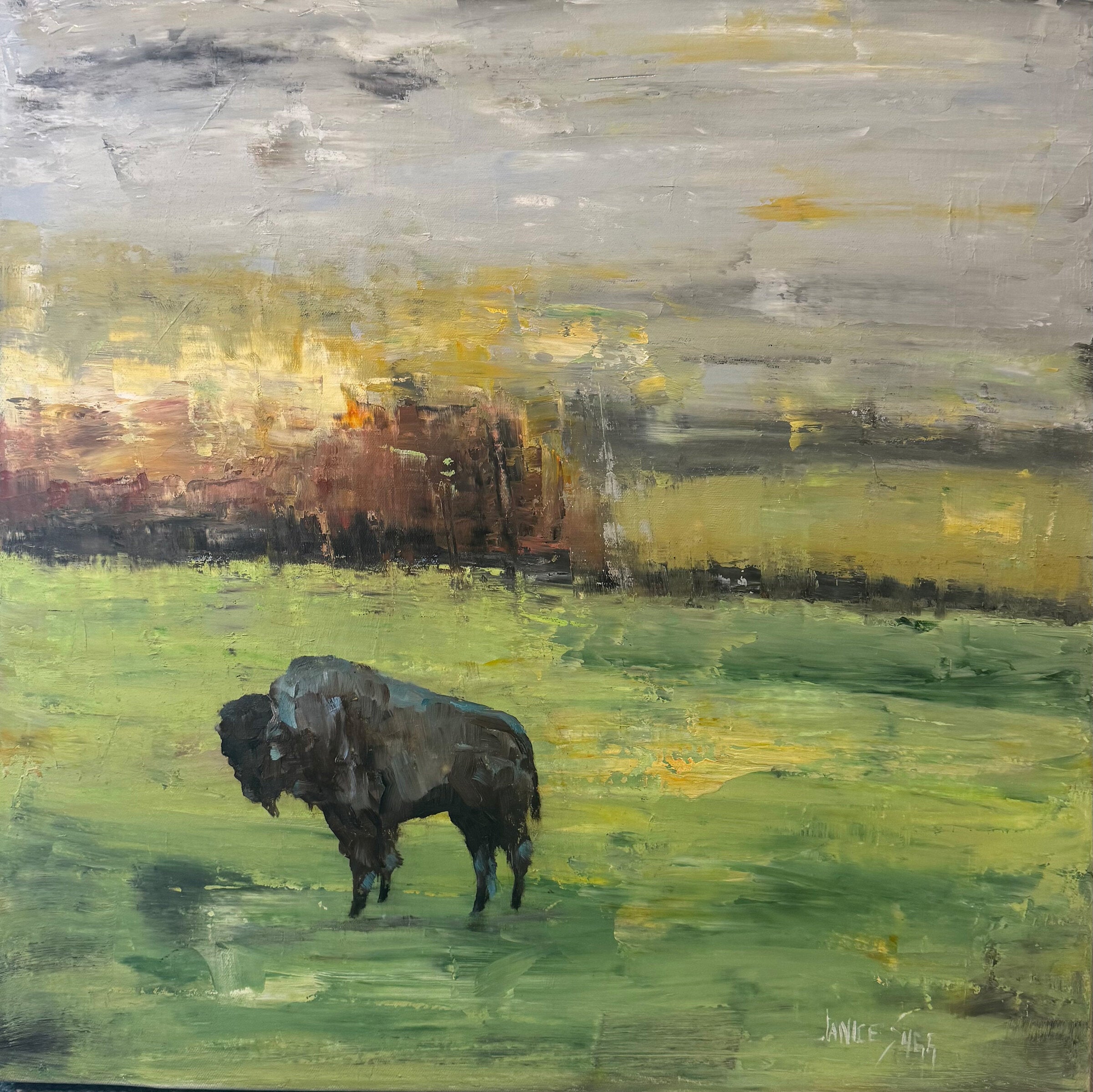 Bison In The Meadow I
