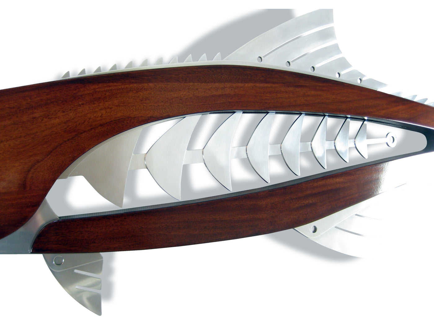 Cobia