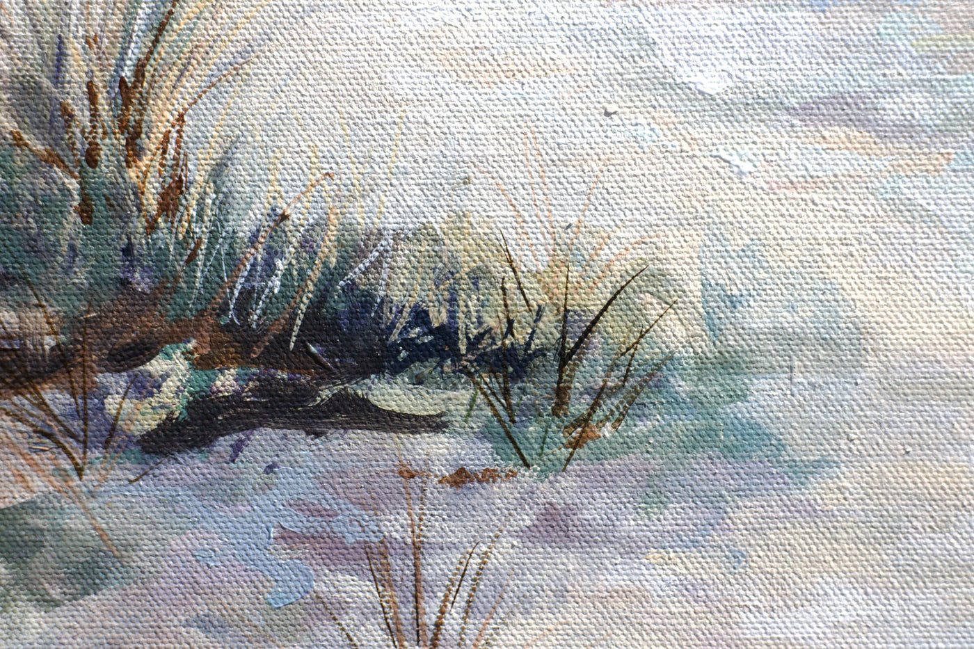 Coastal Escape