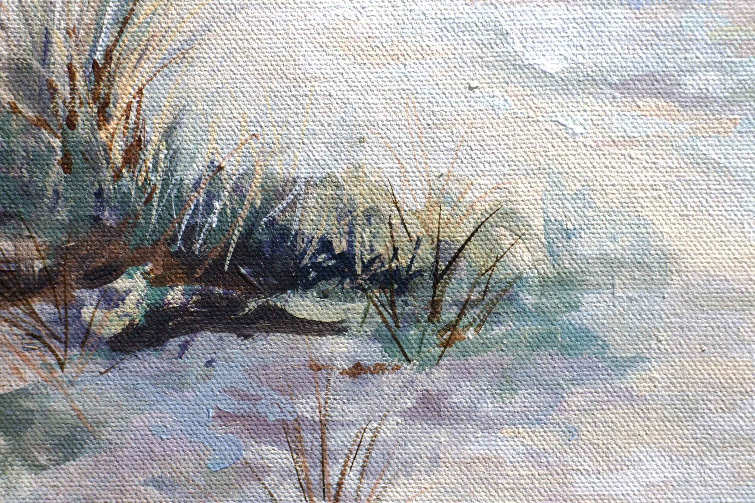 Coastal Escape