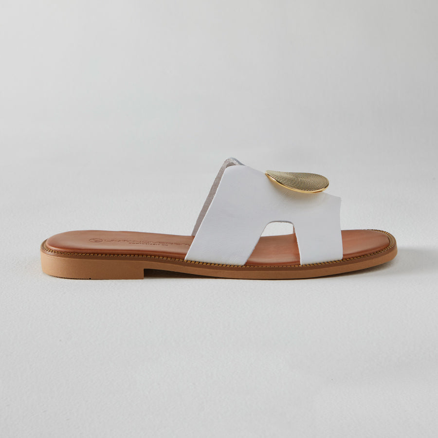 Medallion Slide