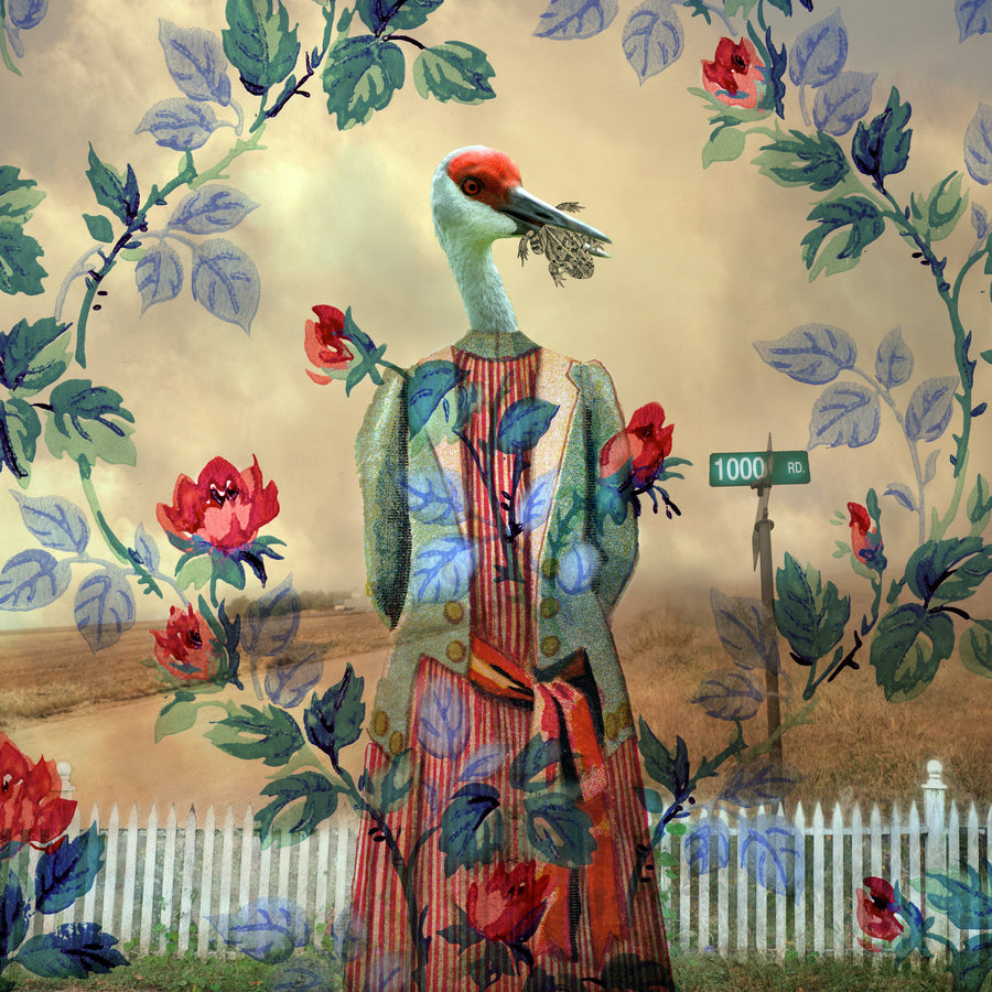 SavvyCrane · Artful Home SavvyCrane · Artful Home