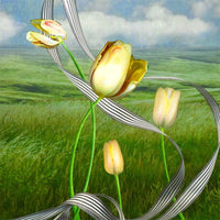 ElevenDays