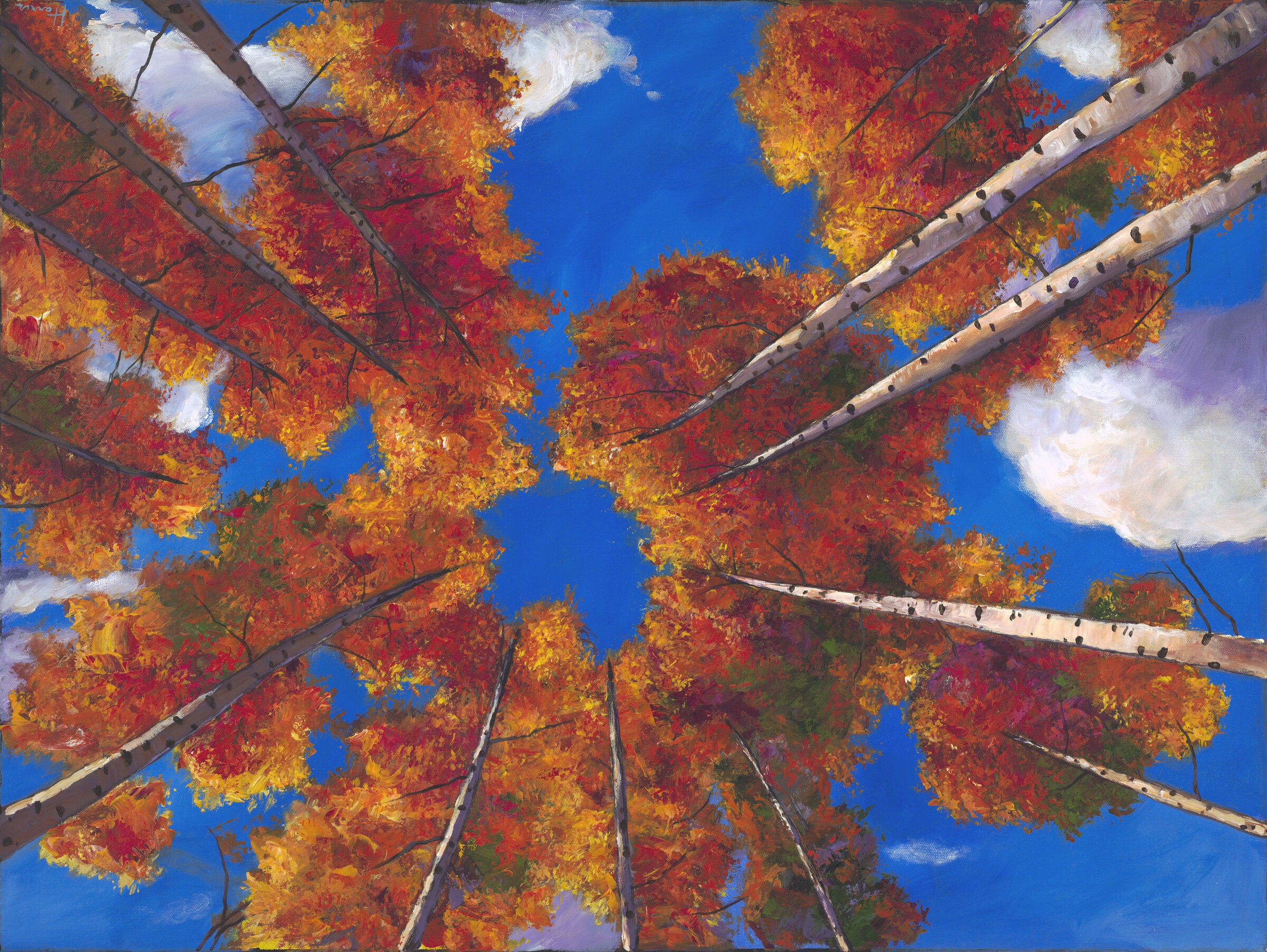 Reach for the Clouds