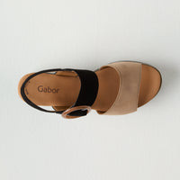 Caramel/Black