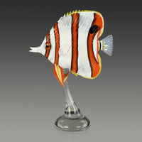 Copperband Butterflyfish II