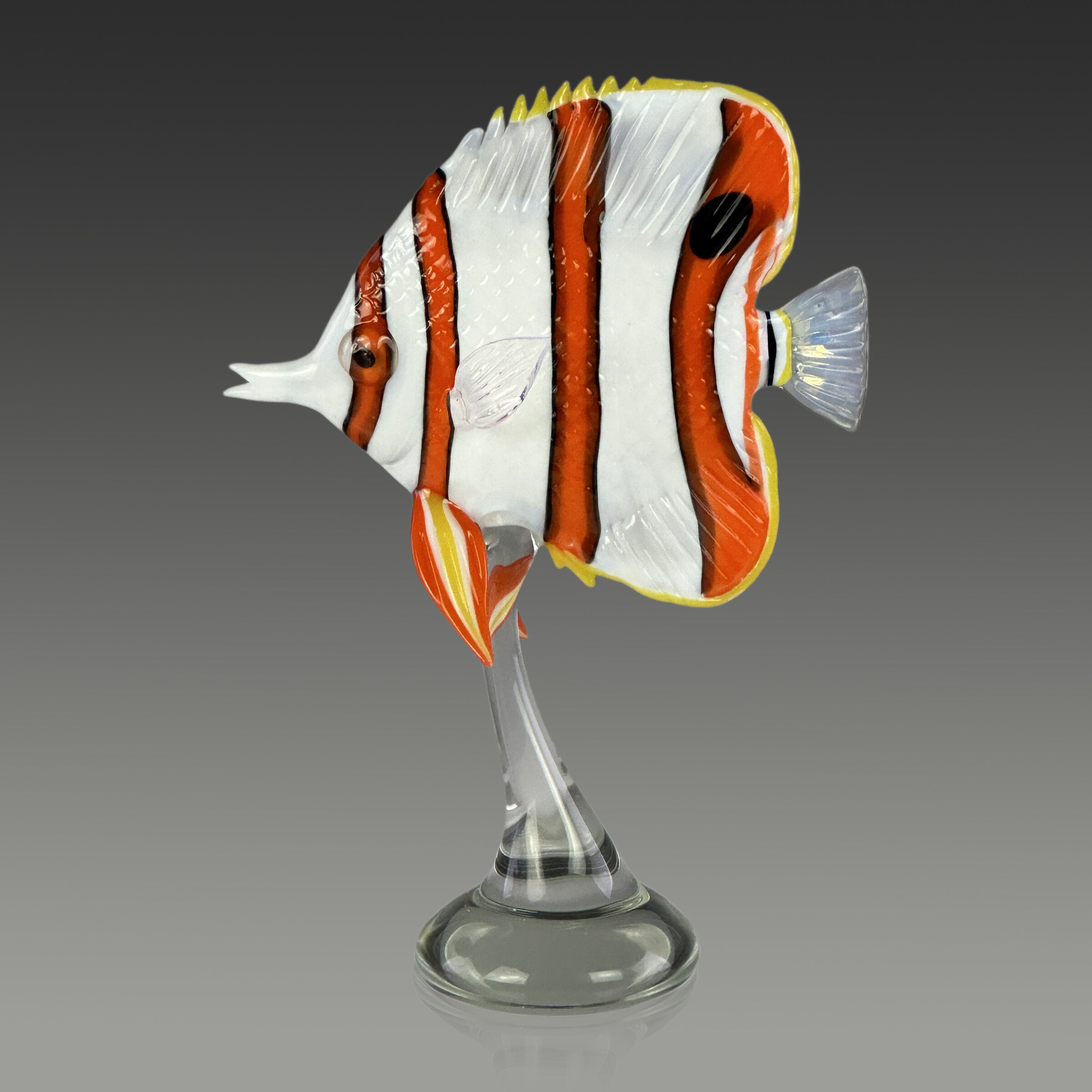Copperband Butterflyfish II