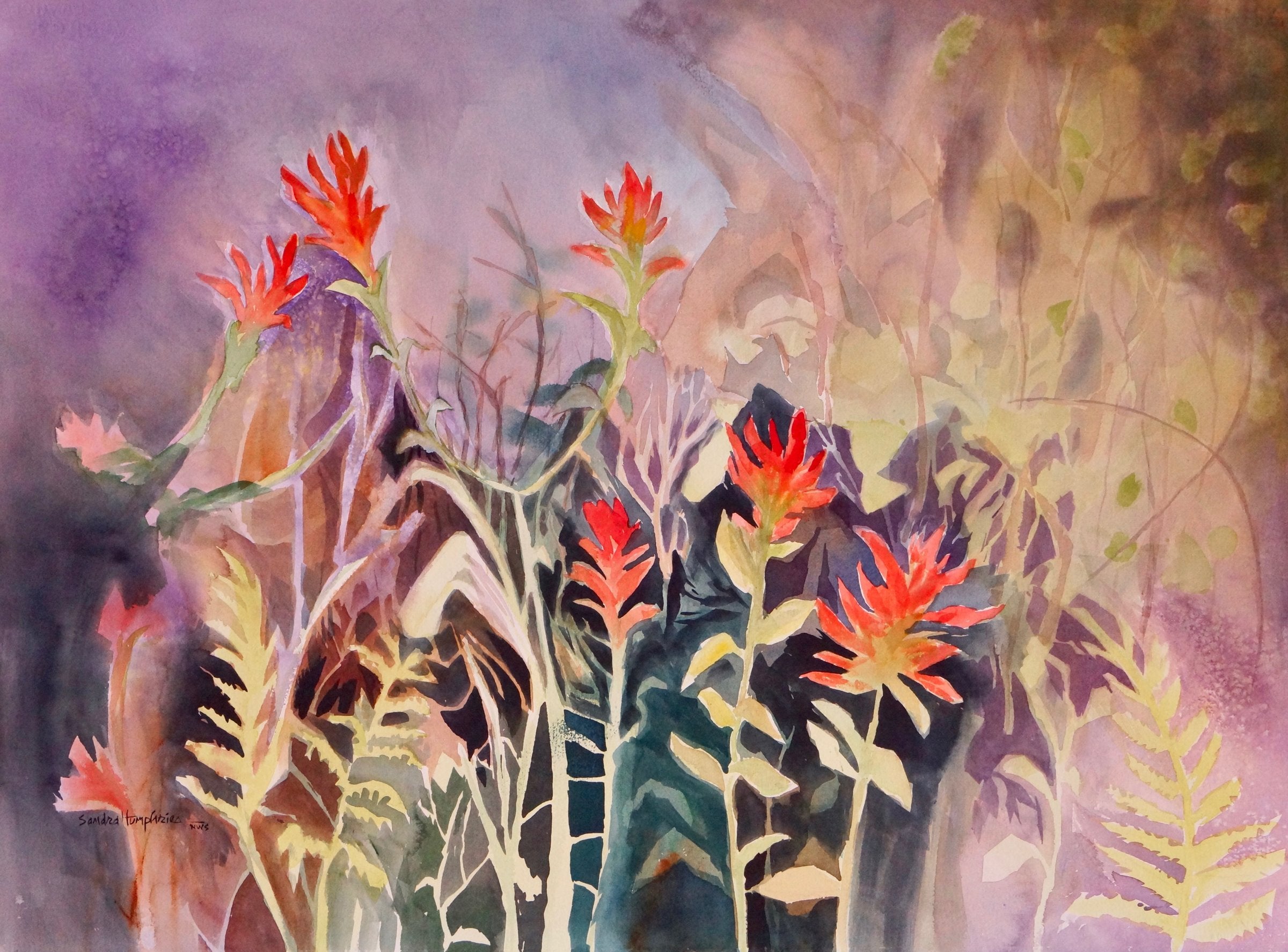 Forest with Indian Paintbrush
