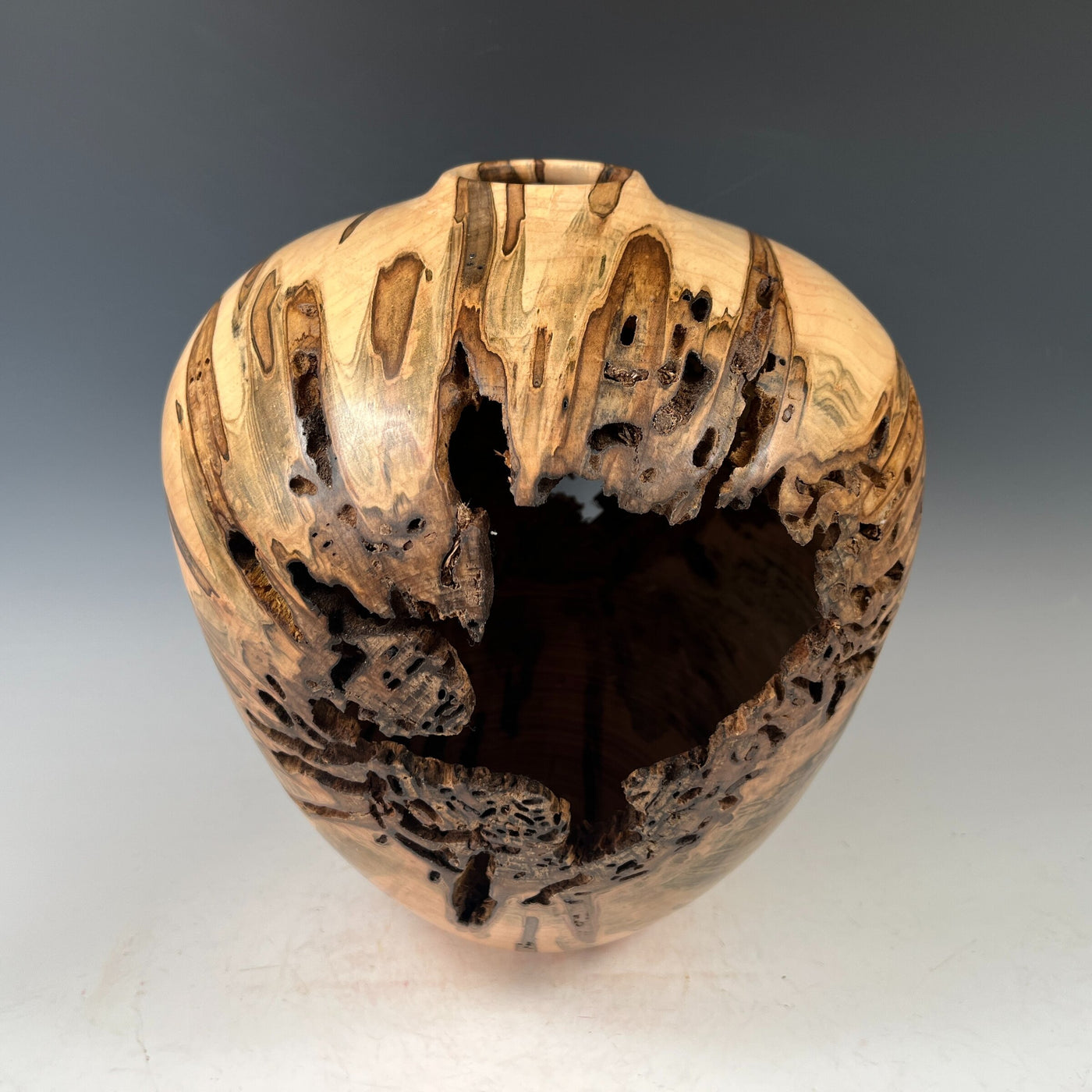 Ambrosia Maple Hollow Form Vessel III