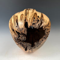 Ambrosia Maple Hollow Form Vessel III
