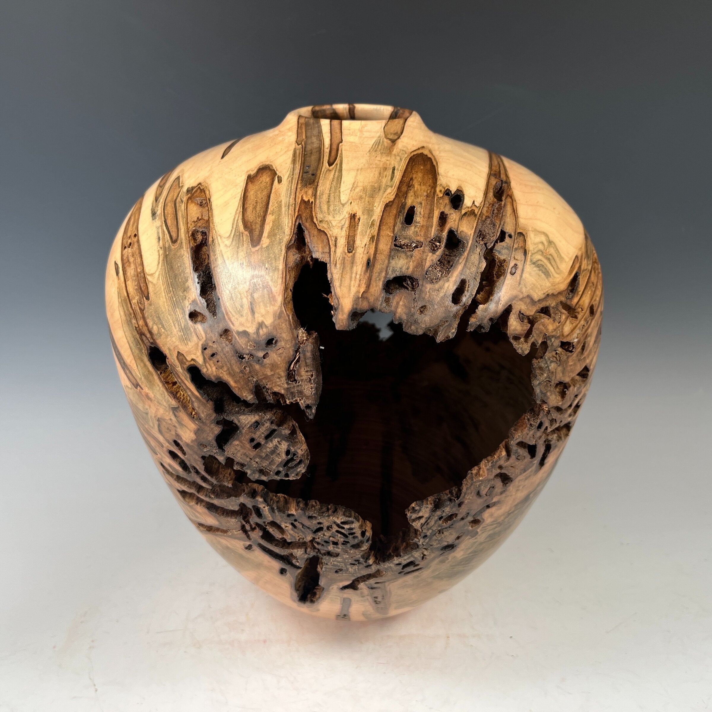 Ambrosia Maple Hollow Form Vessel III