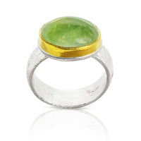 Solar Winds Ring