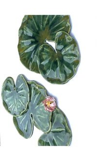 Lily Pad Grouping