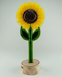 Showstopper Sunflower