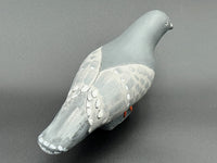 Pigeon, Looking Right