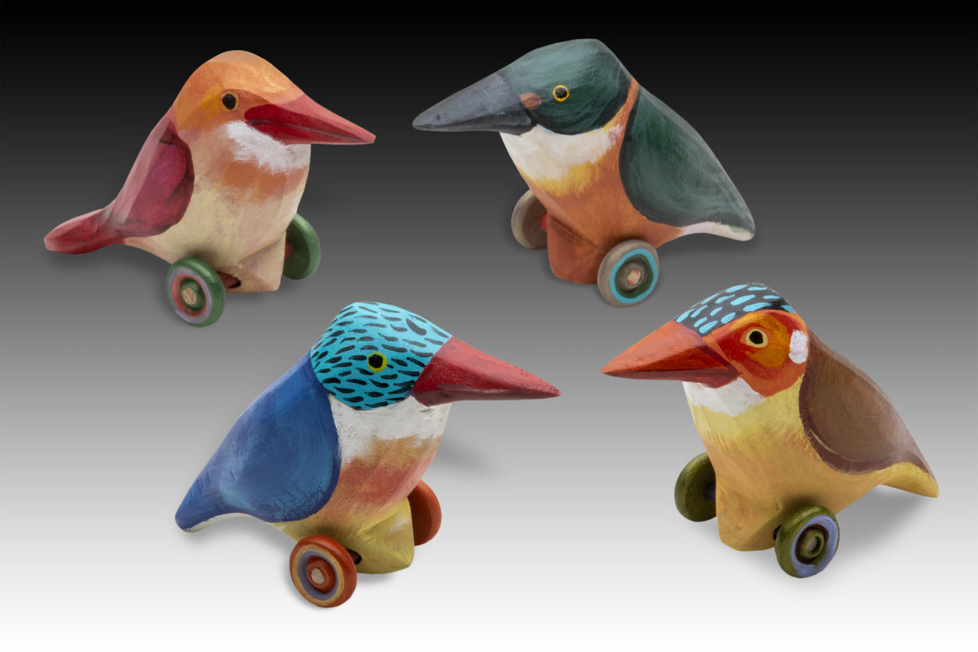 back, left to right: Ruddy Kingfisher, American Pygmy; Front, left to right: Malachite, Celebes Dwarf