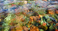 Water as Glass, Montana