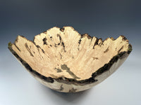 Natural Edge Maple Burl VI