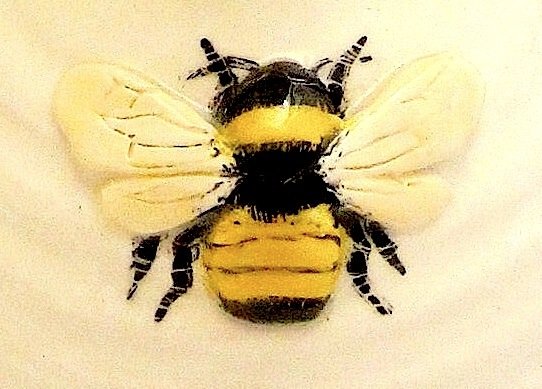 Bumble Bee Delight