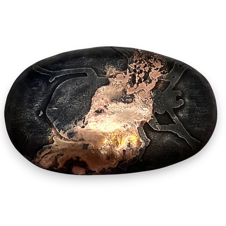 Mushi Brooch
