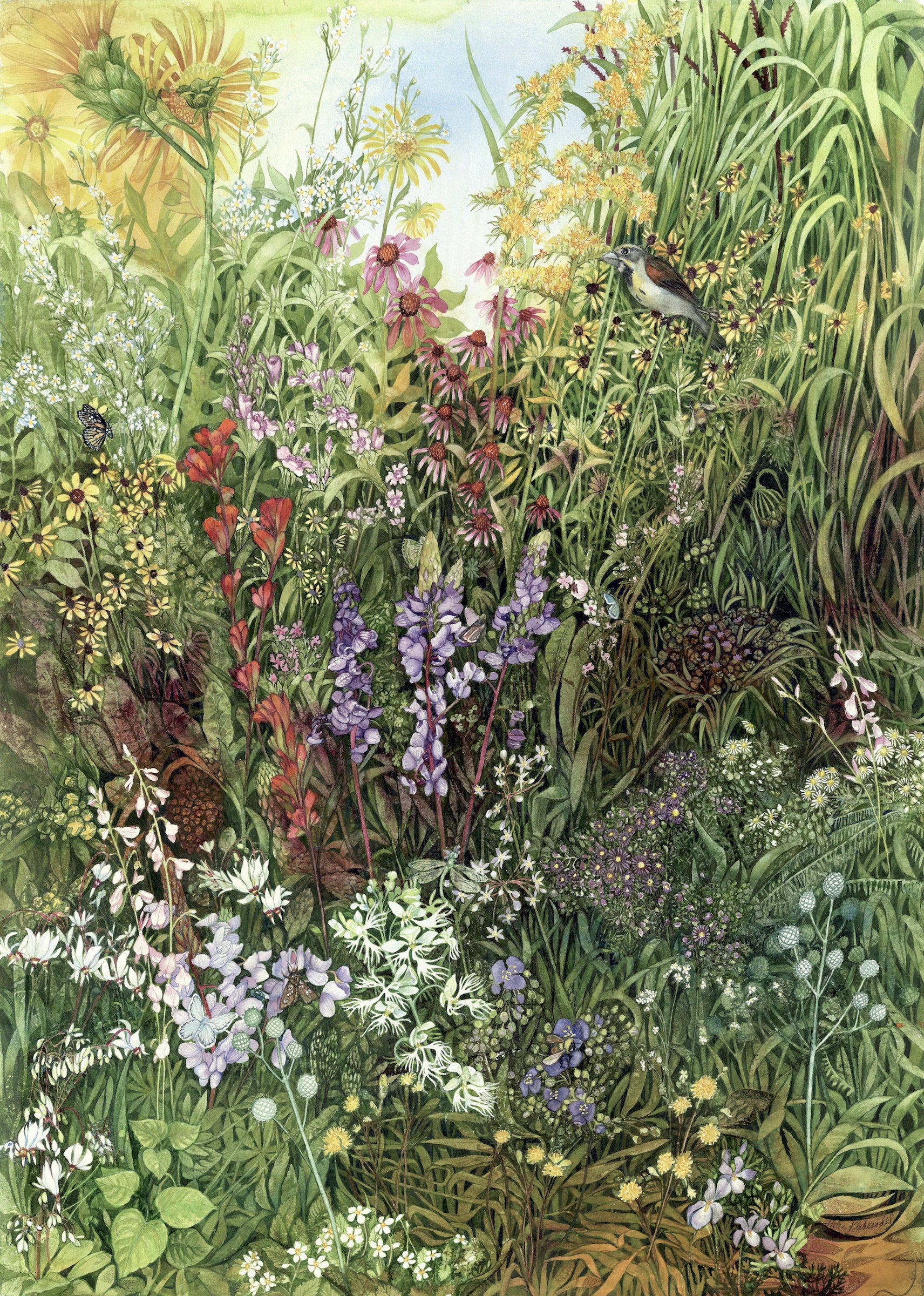 Disappearing Prairie I