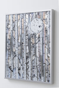 Aspen in the Moonlight