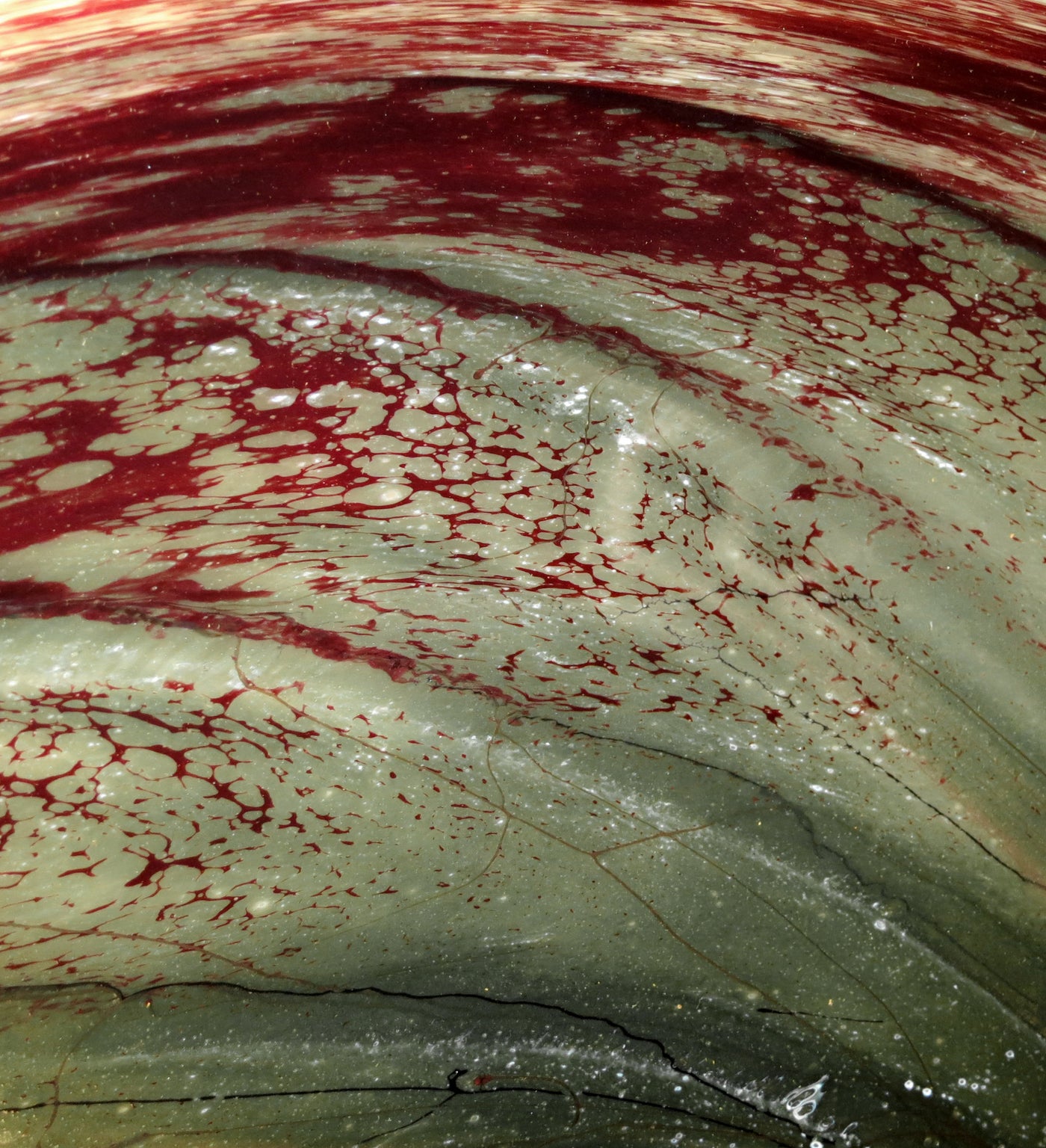burgundy transitions unlit