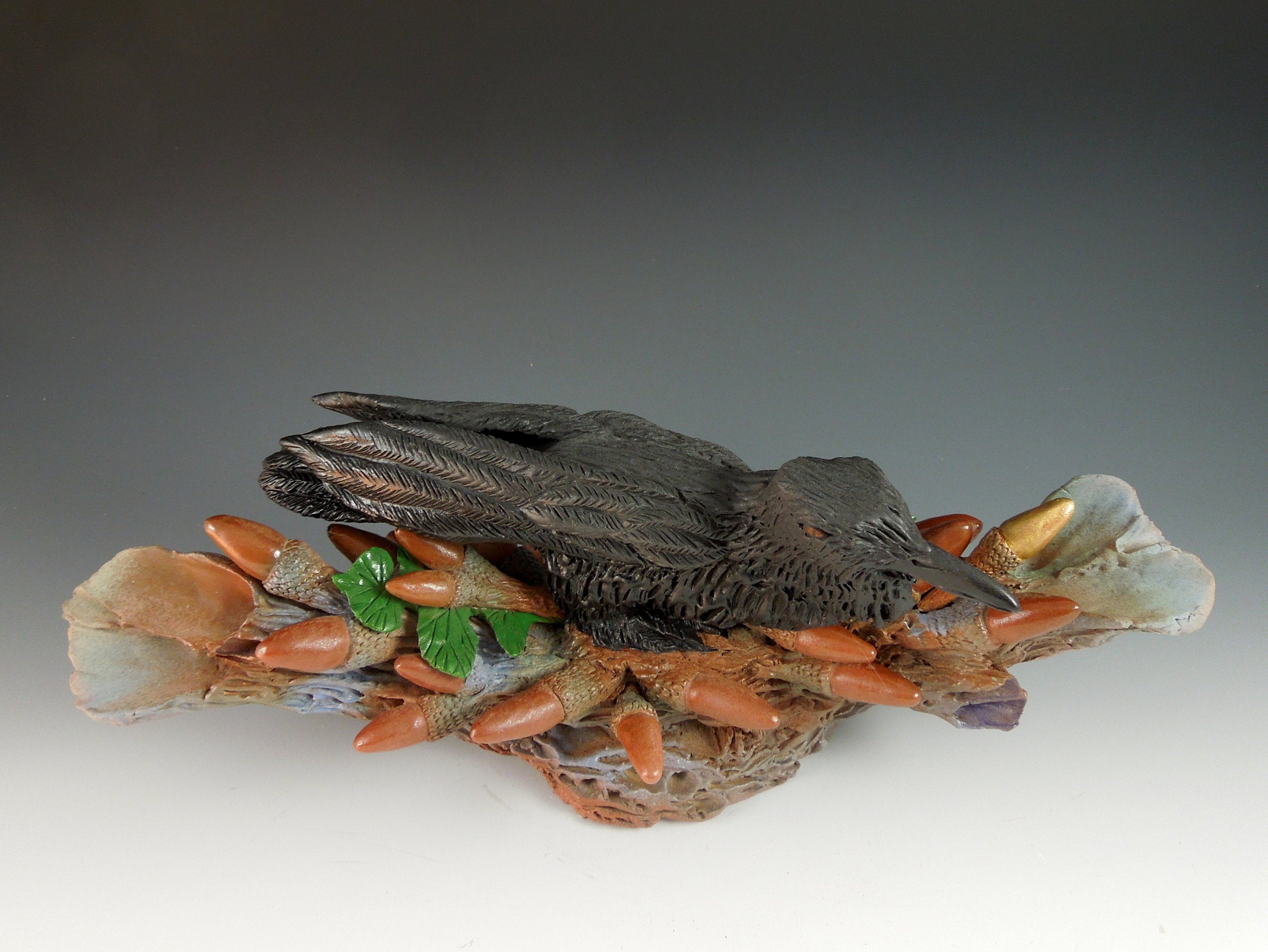 Raven Nested in Acorns