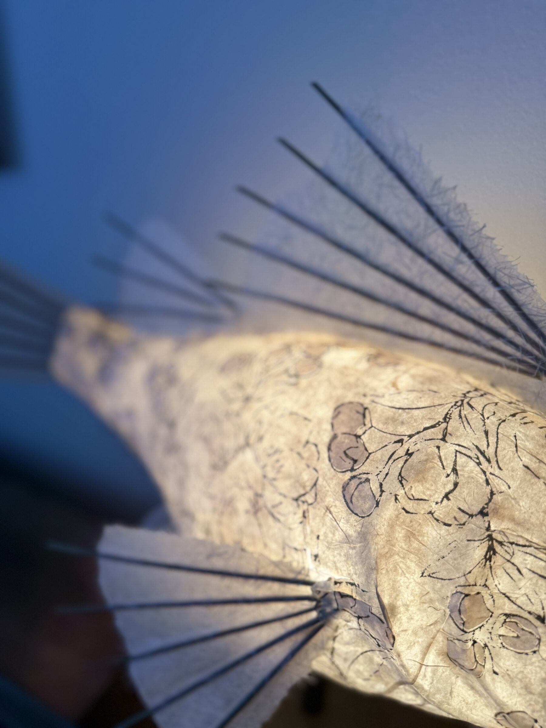 Apricot Koi Lamp