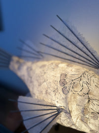 Apricot Koi Lamp