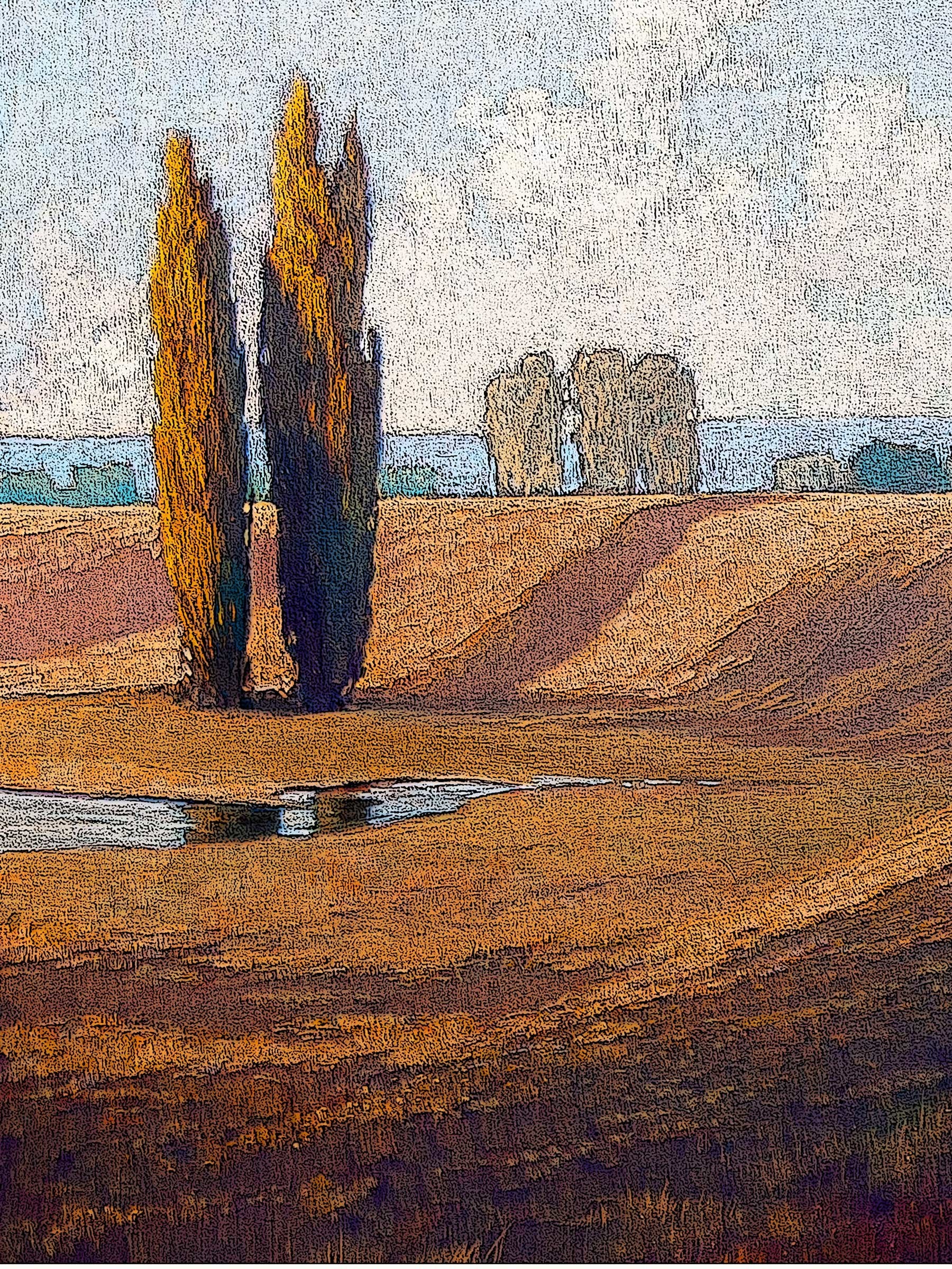 Twin Poplars
