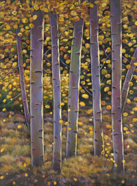 Aspen Stand