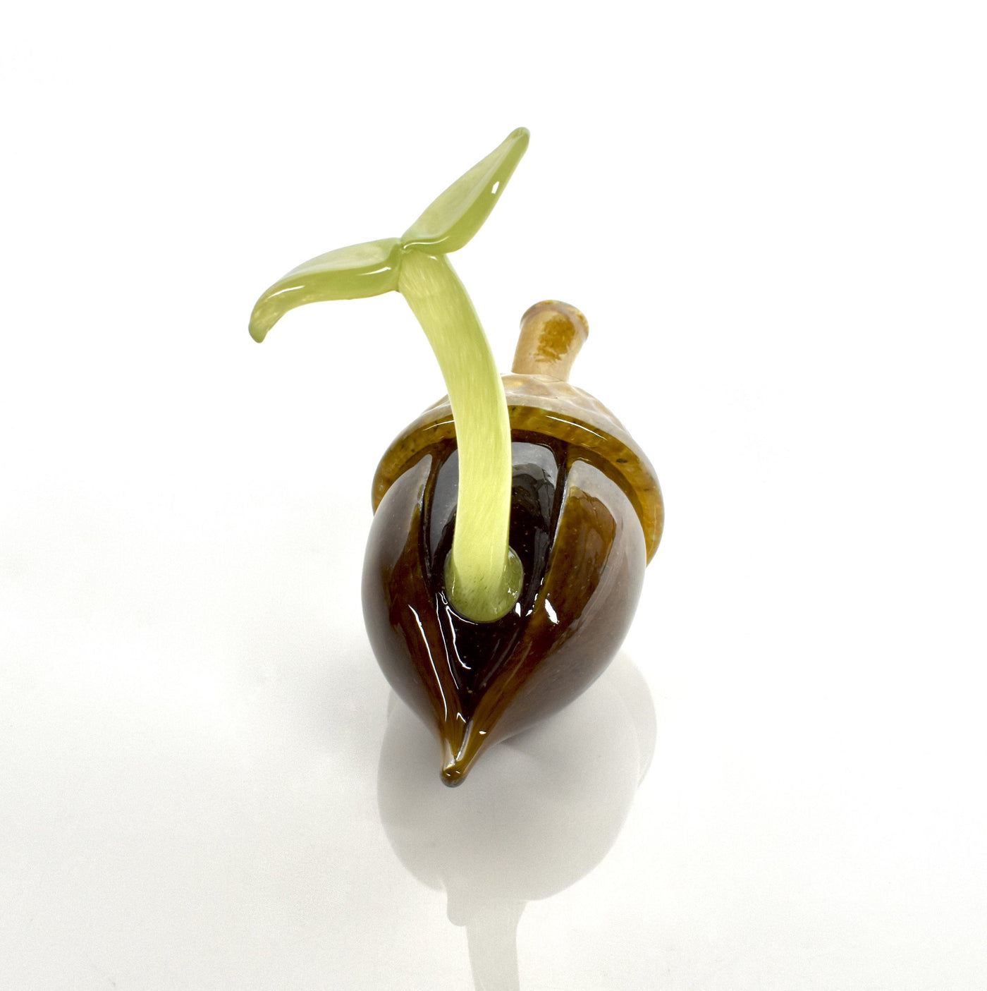 Acorn Sprout