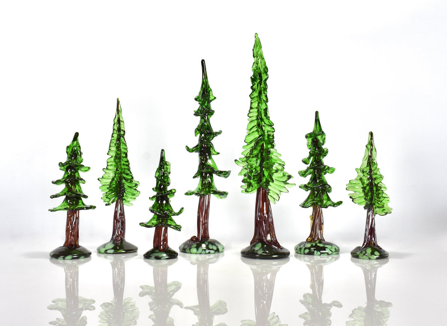 left to right: medium sequoia, medium redwood, small sequoia, large sequoia, large redwood, medium sequoia, small redwood