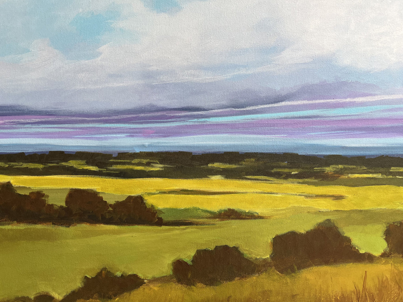Distant Meadow