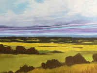 Distant Meadow