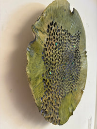 Freeform Green Celestial Landscape
