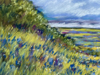 Blue Bonnet Hill