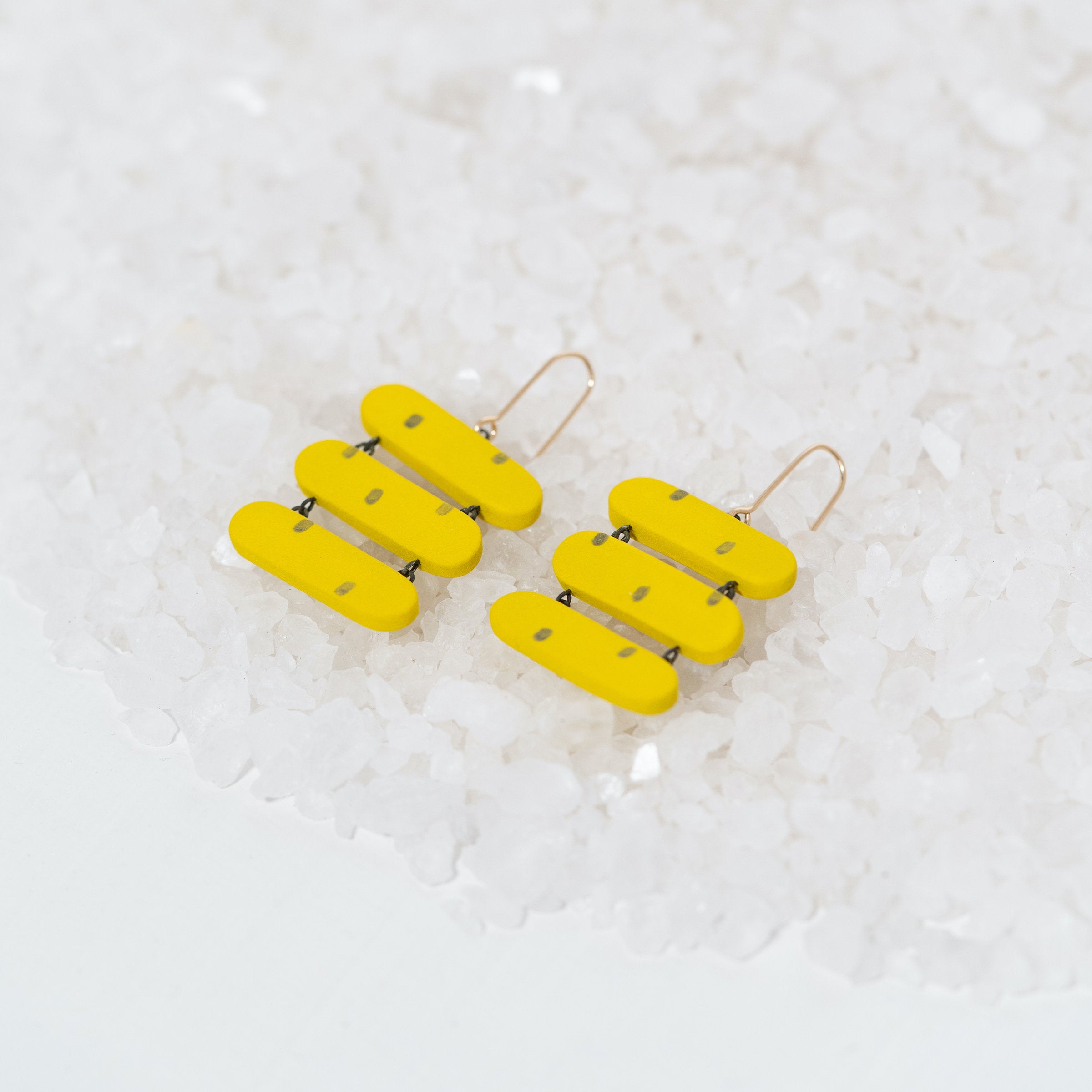 Swim Break Earrings