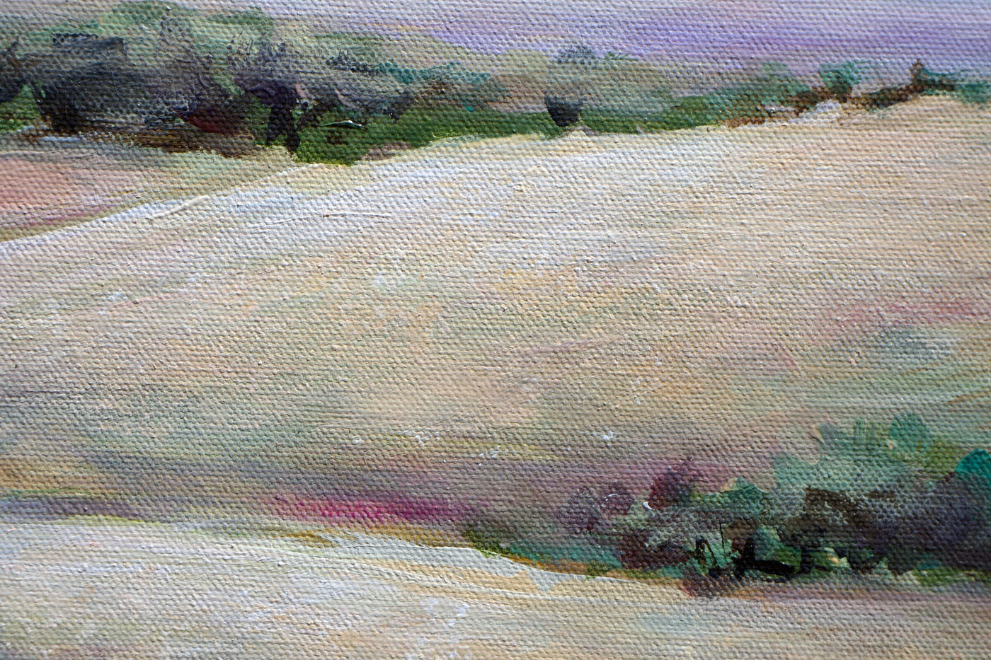 Summer in the Foothills