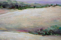 Summer in the Foothills